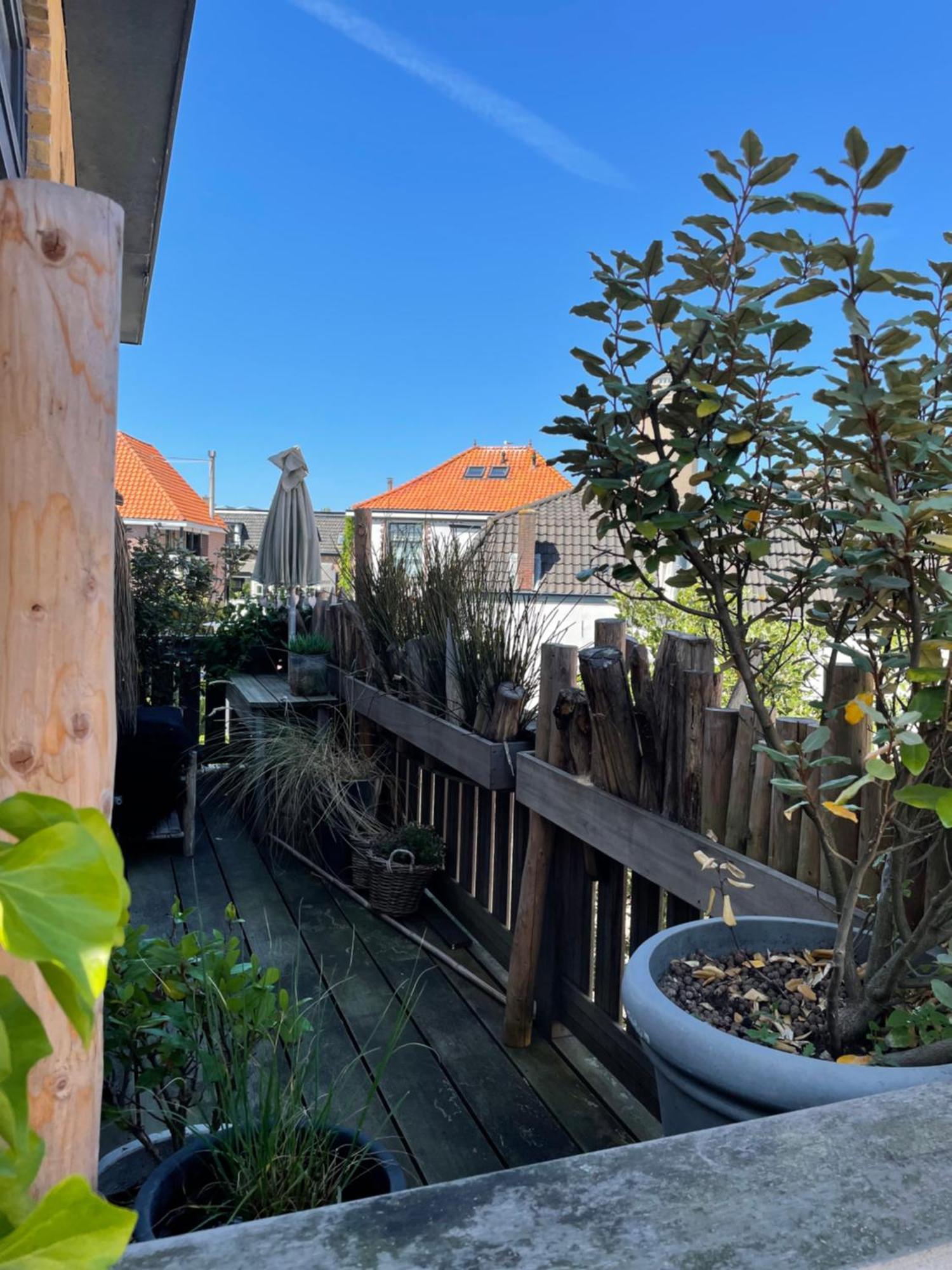 Pothuis Zuid Zandvoort Luaran gambar